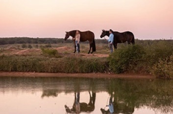 Rakan Quarter Horses, LLC is owned by Josh & Daisy Rakan. 